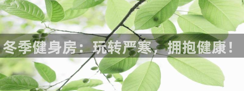 尊龙官网登录入口